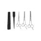 FACILLA® Set 3 Coiffure Hairdresser Scissors with finger rest Sculptor + 2 Comb (Health and Beauty)