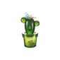 Genie CACTUS acrylic Zoo magnetic paper clip holder in cactus design, massive, green (Office supplies & stationery)