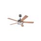 Westinghouse Ceiling fan Hercules 7854540 (household goods)