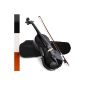 Violin 4/4 Violin incl. Case and accessories (color choice)