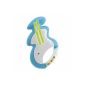 Chicco 71166000000 - Music violin rattle (Baby Product)