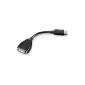 Lenovo DisplayPort to Single-Link DVI-D Cable (Office supplies & stationery)