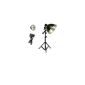 Photo Studio Set with Stand + lamp + Risso's (electronics)