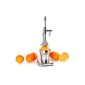 OneConcept EcoJuicer - Press mechanical lever for fresh fruit fruit juice preparation without current (stable, silent, stainless steel) - Chrome (Kitchen)