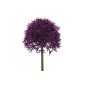 Art Flower Allium 64cm.  Color purple, violet