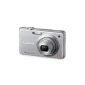 Panasonic LUMIX DMC-FS11EG-S Digital Camera (14 Megapixel, 5x opt. Zoom, 6.86 cm display, Image Stabilizer) Silver (Electronics)