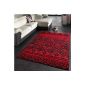 Carpets Modern Trendy Hair Short Black Red Size: 190x280 cm