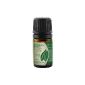 Incense, Indian (Boswellia Serrata) - 100% pure essential oil - 10ml (Health and Beauty)
