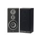 Pioneer CS-3070 S speaker pair black (Electronics)