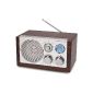 AM / FM radio in a retro design NOSTALGIA INCL.  AUX INPUT KITCHEN RADIO (Electronics)