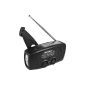 Karcher KR 110 portable crank radio (AM / FM radio, flashlight, cell phone charging function) (Electronics)