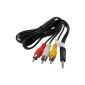 Composite AV Cable - Video / audio / cable replaced STV-250N enables the connection of compatible Canon camcorder / digital cameras on a TV set PDA-point (Electronics)