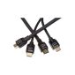 AmazonBasics High-Speed ​​HDMI cable (Ethernet, 3D and Audio Return) double 0.9 m and 4.57 m (electronic)