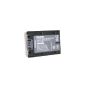 Black LI-ION Battery Replacement for SONY Cybershot DSC-HX200, DSC-HX200V replaces NP-FH40 / NP-FH50 / NP-FH70 / NP-FH100 (Electronics)