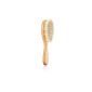 Reer 81165 natural bristle brush - goat hair, small (baby products)