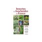 Insects and Arachnids of France