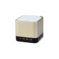 Mini Portable Wireless Bluetooth 3.0 speakers (Bluetooth sound system, hands-free, super bass system, TF card Supports, Golden) (Electronics)