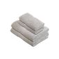 Pinzon 550g / m2 Lot towel 100% Cotton Light gray, 2 Bath towels (70x140) + 2 towels (50x100) (Kitchen)