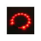 2-TECH LED Visio luminous necklace in RED Deluxe for dogs and cats universally shortened, neck circumference to 55 cm (Misc.)