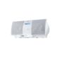 Canton DSS 303 speaker system for iPod with integrated FM tuner white (Electronics)