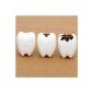 white teeth eraser from Japan by Iwako (Toys)