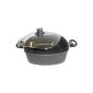Woll 1028 ILL square-cast roaster Induction 28 cm x 28 cm 6.0 liter and safety glass lid in gift box (household goods)