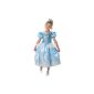 Cinderella Costume 1