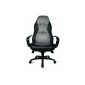 Topstar SC20FTC3 Chefsessel Speed ​​Chair armrests included (household goods)