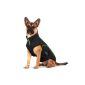 Wolters softshell jacket Basic black / lime XS - XL Dog jackets cheap dog coat dog jacket (Misc.)