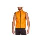Gore Running Air 2.0 Wear® Vest As Light windproof and breathable man (Sports Apparel)
