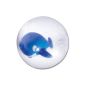 Waterpolo - beach ball with fish inside - blue - diameter 20 cm (Misc.)