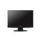 HannsG HA222DPB 22-inch Widescreen LCD Monitor (VGA, DVI, Contrast Ratio 1000: 1, Response Time 5ms) (Electronics)