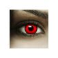 FXContacts 'Volturi' + container, colored red Fun Crazy contact lenses without strength red perfect for Halloween and Carnival (Personal Care)