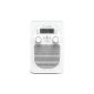 Pure Evoke D2 Glacier Portable Radio with Bluetooth (DAB, DAB +, FM, mini-USB) white (Electronics)