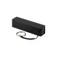 CONNECT PA240 2400mAh External Battery Power Bank EXIT with Key Chain (Black) (Electronics)
