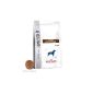 14kg Royal Canin Gastro Intestinal GI25 Fodder dry for dogs (Misc.)