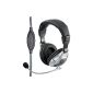 Wintech WH2688 headphones silver / black