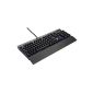 Corsair Vengeance K70 Series Black Cherry MX Red mechanical Gaming Keyboard (CH-9000011-DE) (Accessories)
