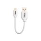 AmazonBasics USB connection cable to Lightning, 10 cm, certified by Apple, White (Electronics)