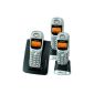 Swissvoice Avena 135 FR Trio DECT Phone \ GAP 3 handsets Handsfree (Electronics)
