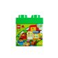 Lego Duplo Bricks & More 4627 - building experience set (toys)