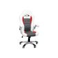 Terena® premium sports seat executive chair Office chair racer white / gray / red 59806 (Home)