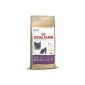 Royal Canin Feline British Shorthair, 1er Pack (1 x 10 kg bag) - Cat Food (Misc.)