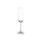 Schott Zwiesel Pure 7544410 Set of 6 Champagne glasses Crystal Transparent 20.9 cl (Housewares)