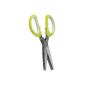 Premier Housewares Herb 0806923 Chisel Stainless Steel Lime Green / White (Kitchen)