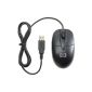 HP Optical Travel Mouse USB 3-Button Wired (Accessory)