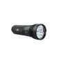 ThruNite® TN30 Floody Search Flashlight with Cree XM-Triplle L2 LEDs Max Output 3338 Lumens Waterproof to IPX-8 (Misc.)