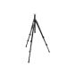 Manfrotto tripod 055XPROB Pro (2 extracts, capacity up to 7 kg, 178.5 cm height) black headless (Accessories)