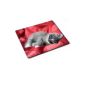 Cats Mouse Pad