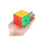 Dayan 2x2 Magic Cube Speed ​​Cube Professional World Record (Toy)